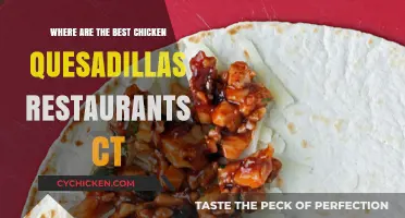 CT's Top Chicken Quesadilla Spots: A Tasty Tour Guide