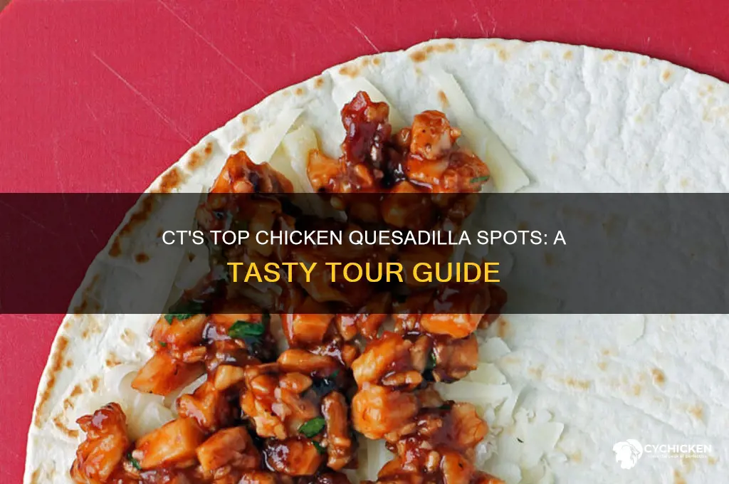 where are the best chicken quesadillas restaurants ct
