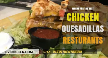 Top Chicken Quesadilla Spots: A Foodie's Ultimate Guide to Cheesy Bliss