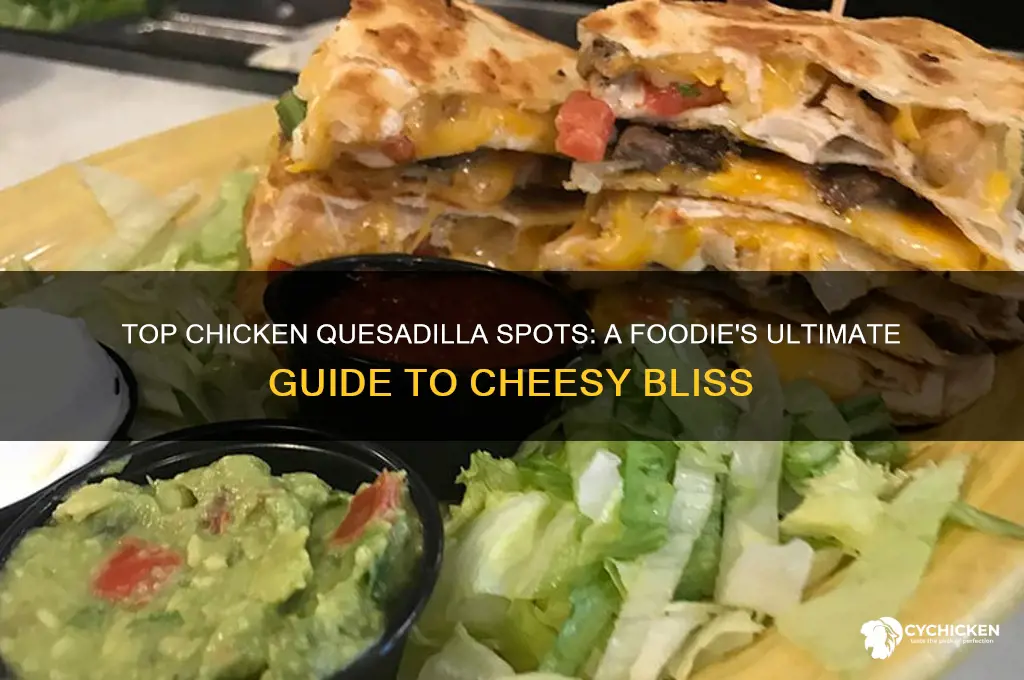 where are the best chicken quesadillas resturants
