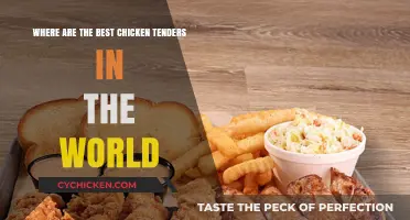 Best Chicken Tenders: A Global Hunt