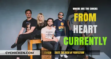 Heart's Chicks: Current Locations and Recent Updates on the Band