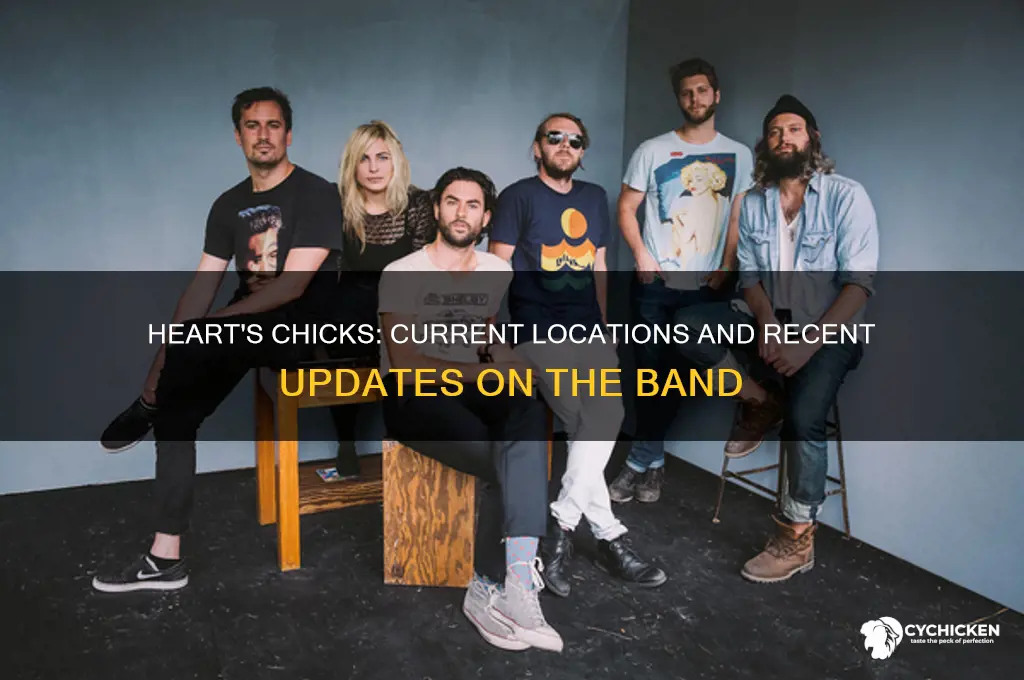 where are the chicks from heart currently