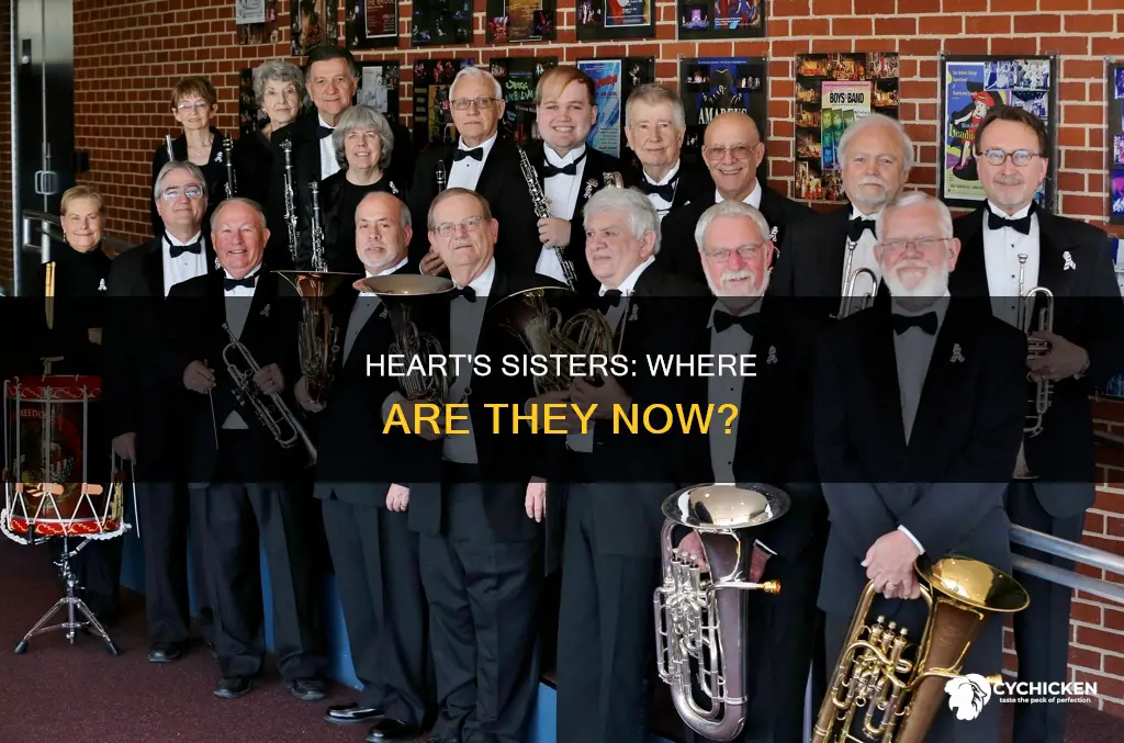 where are the chicks from the band heart currently
