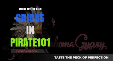 Dixie Chicks' Pirate101 Connection: Uncovering Their Hidden Role in the Game