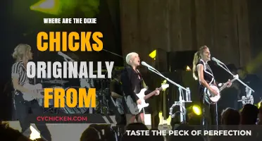 The Dixie Chicks' Roots: Uncovering Their Original Hometown