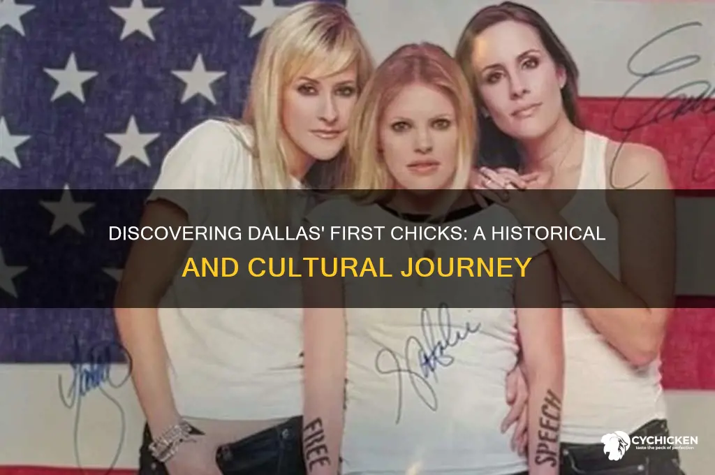 where are the first chicks in dallas