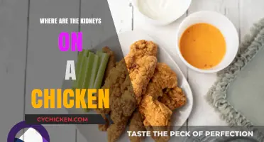 Locating a Chicken's Kidneys: Anatomy and Culinary Insights Explained