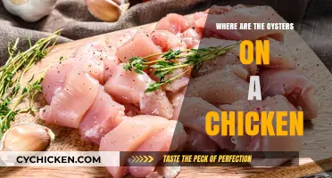 Where Are the Oysters on a Chicken? Unraveling the Culinary Confusion