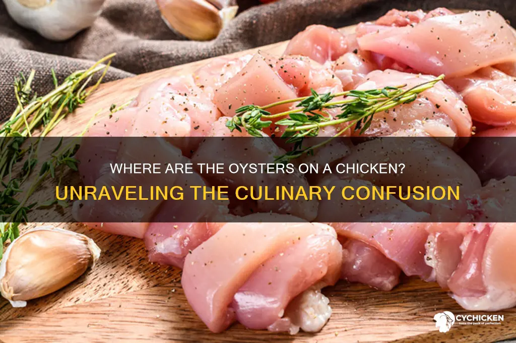 where are the oysters on a chicken