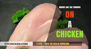 Discovering Chicken Tenders: Location, Anatomy, and Culinary Tips