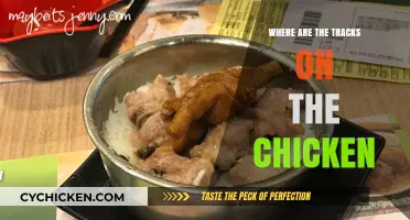 Unraveling the Mystery: Where Are the Tracks on the Chicken?
