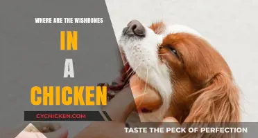 Uncovering the Mystery: Locating the Wishbones in a Chicken