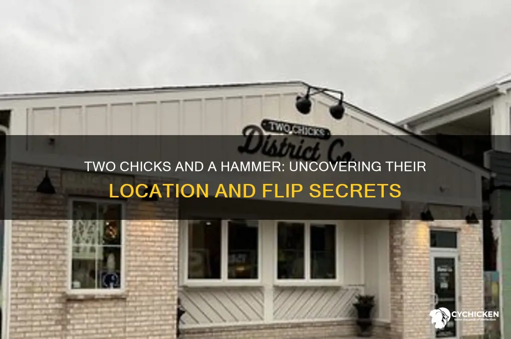where are two chicks and a hammer located