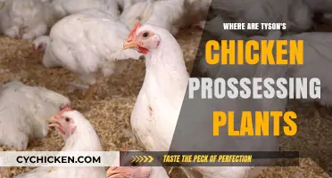 Tyson's Chicken Processing Plants: Locations and Operations Explained