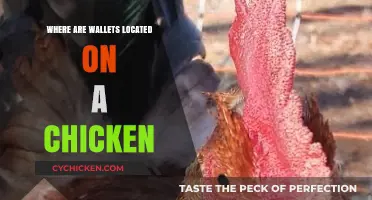 Unraveling the Mystery: Where Chickens Store Their Wallets Explained