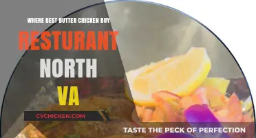 Top Butter Chicken Restaurants in Northern Virginia: A Foodie's Guide