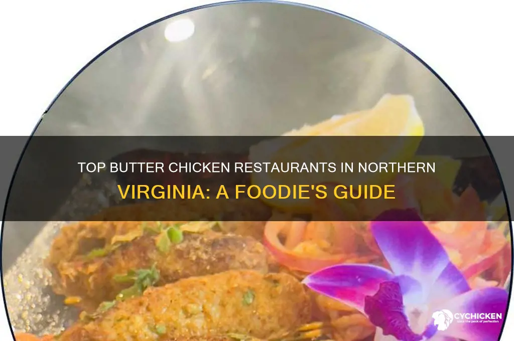 where best butter chicken buy resturant north va