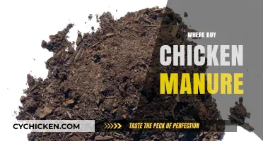 Where to Buy Chicken Manure: A Comprehensive Guide for Gardeners