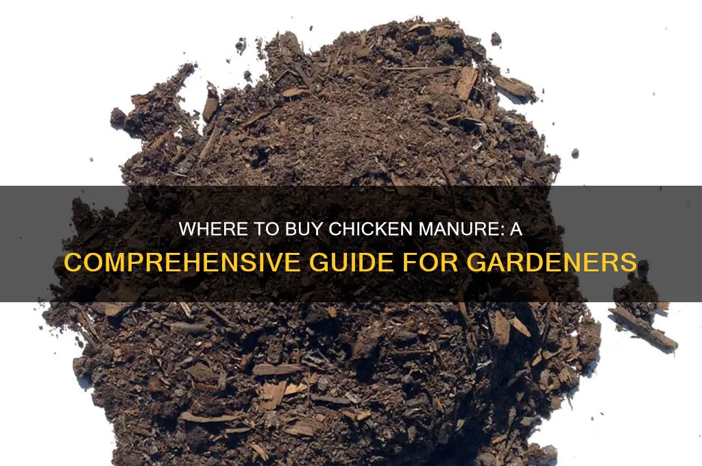 where buy chicken manure
