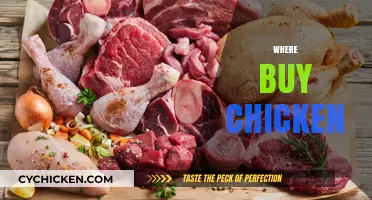 Best Places to Buy Fresh, Quality Chicken Near You