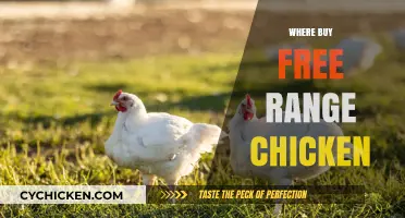 Where to Buy Free Range Chicken: A Guide to Ethical Sources