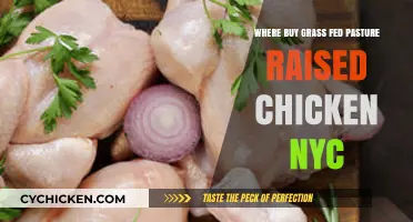Where to Buy Grass-Fed, Pasture-Raised Chicken in NYC