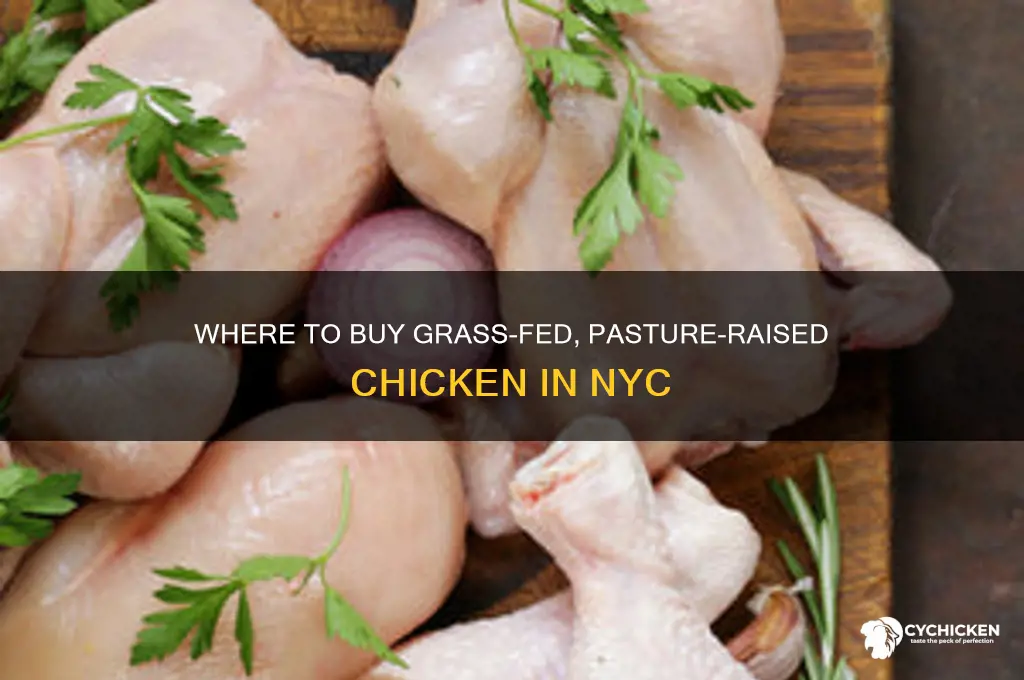 where buy grass fed pasture raised chicken nyc