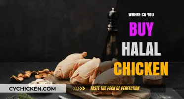 Where to Buy Halal Chicken: A Comprehensive Guide for Shoppers