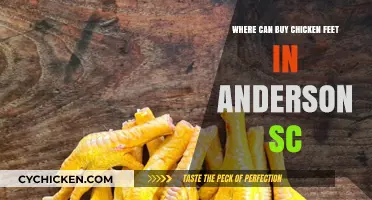 Where to Find Chicken Feet in Anderson, SC: A Local Guide