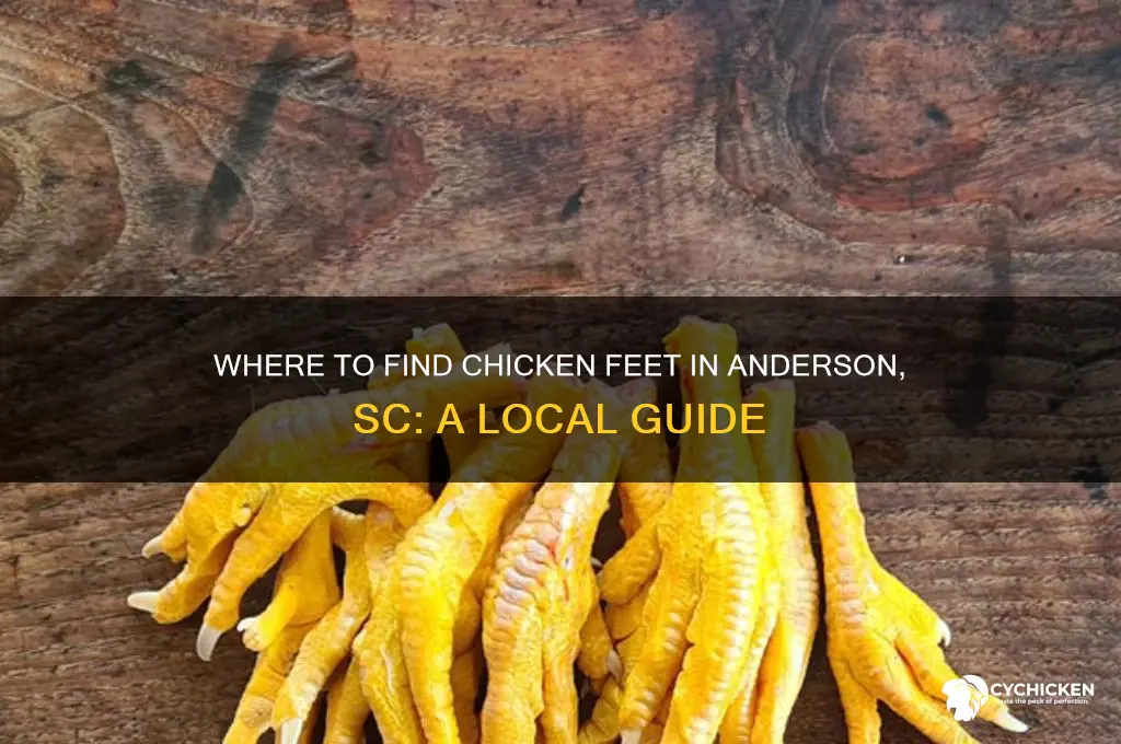 where can buy chicken feet in anderson sc