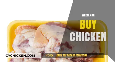 Best Places to Buy Fresh and Quality Chicken Near You