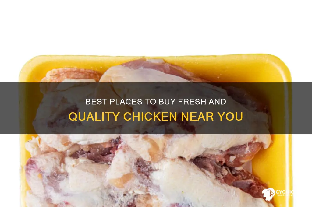 where can buy chicken