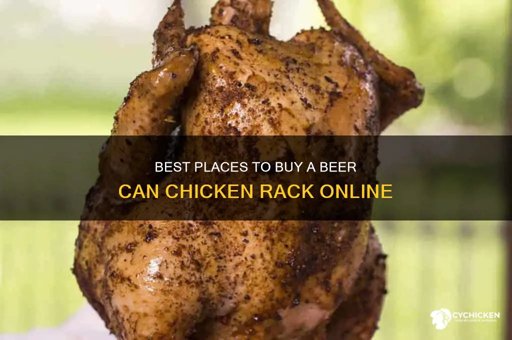 where can i buy a beer can chicken rack