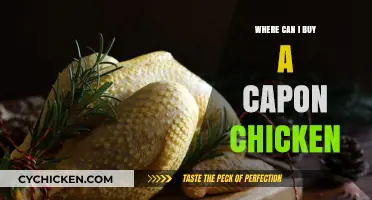 Where to Buy Capon Chicken: Top Retailers and Local Sources
