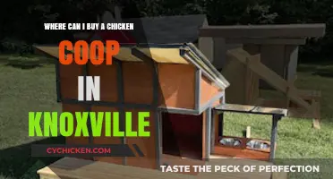 Best Places to Buy Chicken Coops in Knoxville, TN