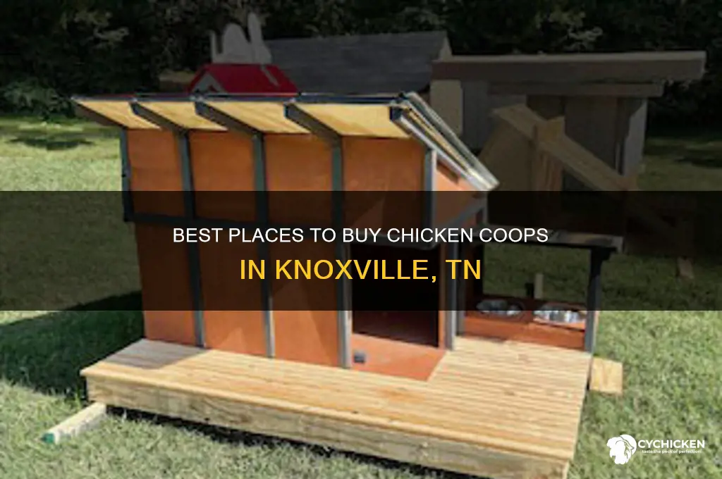 where can i buy a chicken coop in knoxville