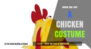 Best Places to Purchase a Fun Chicken Costume Online
