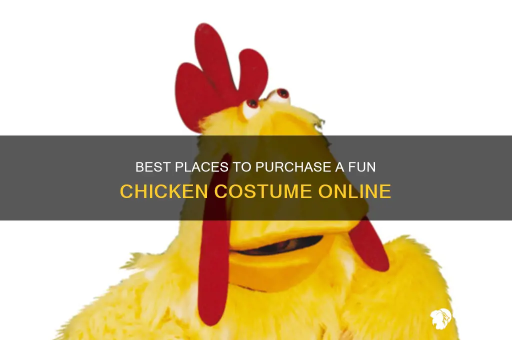 where can i buy a chicken costume