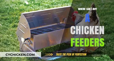 Best Places to Purchase Chicken Feeders for Your Flock