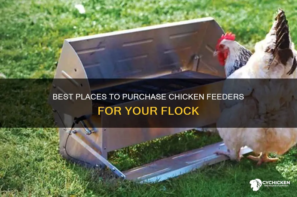 where can i buy a chicken feeders