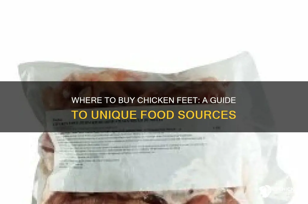 where can i buy a chicken foot