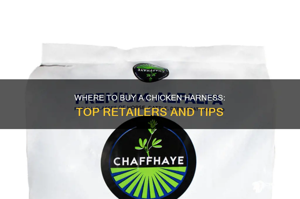where can i buy a chicken harness