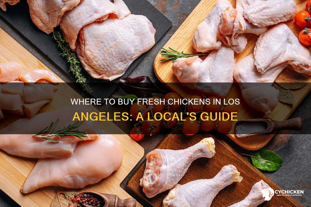 where can i buy a chicken i los angelw