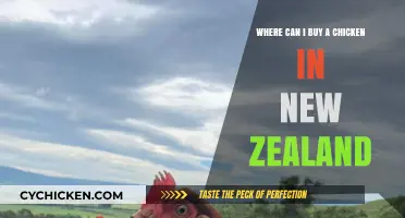 Best Places to Buy Fresh Chicken in New Zealand: A Guide