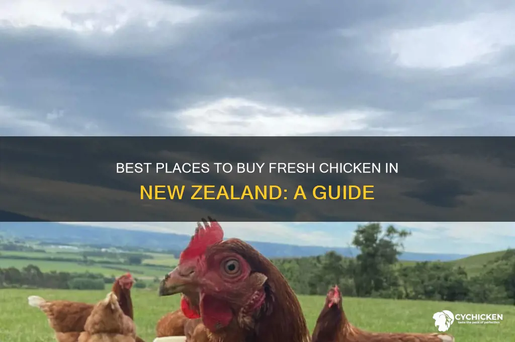where can i buy a chicken in new zealand