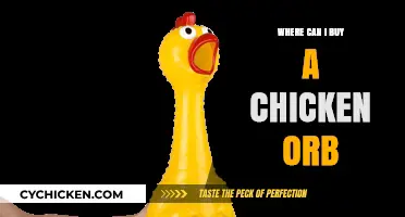Discover Unique Chicken Orbs: Top Retailers and Online Sources