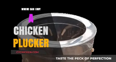 Best Places to Buy a Chicken Plucker for Efficient Processing