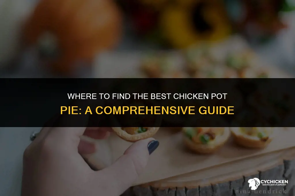 where can i buy a chicken pot pie