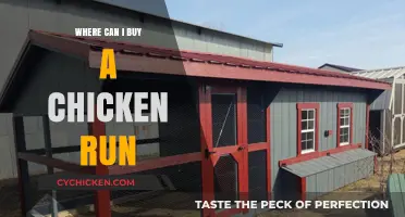 Best Places to Purchase a Chicken Run for Your Flock